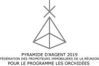 logo-distinction-pyramide-argent