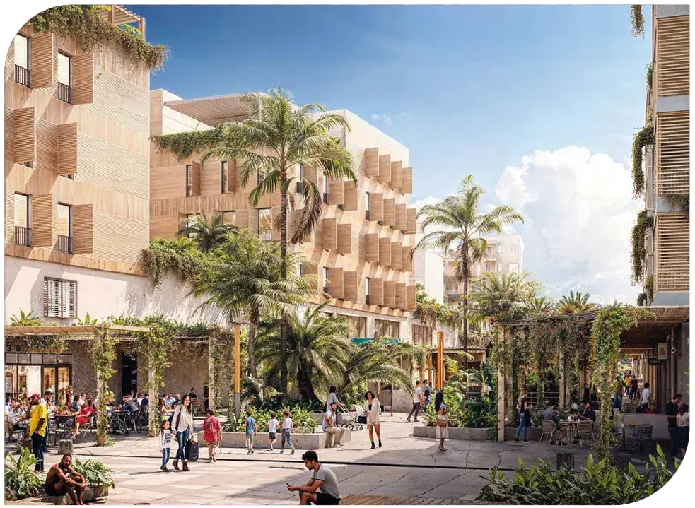 plan du projet kanopée